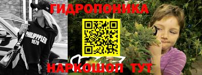 ПСИЛОЦИБИНОВЫЕ ГРИБЫ Кимры