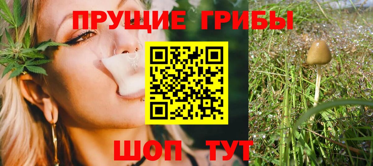 Галлюциногенные грибы MAGIC MUSHROOMS Коряжма